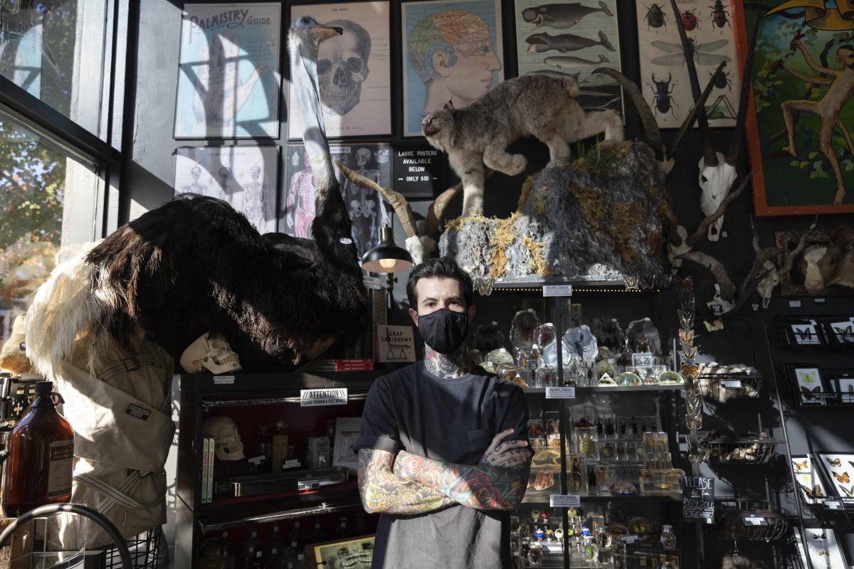 20201106-EnzaMarcy-76